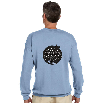 Aquarius Zodiac Sweatshirt - Zodiac Cat Design